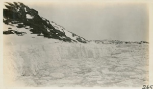 Image: Ice foot on outer island